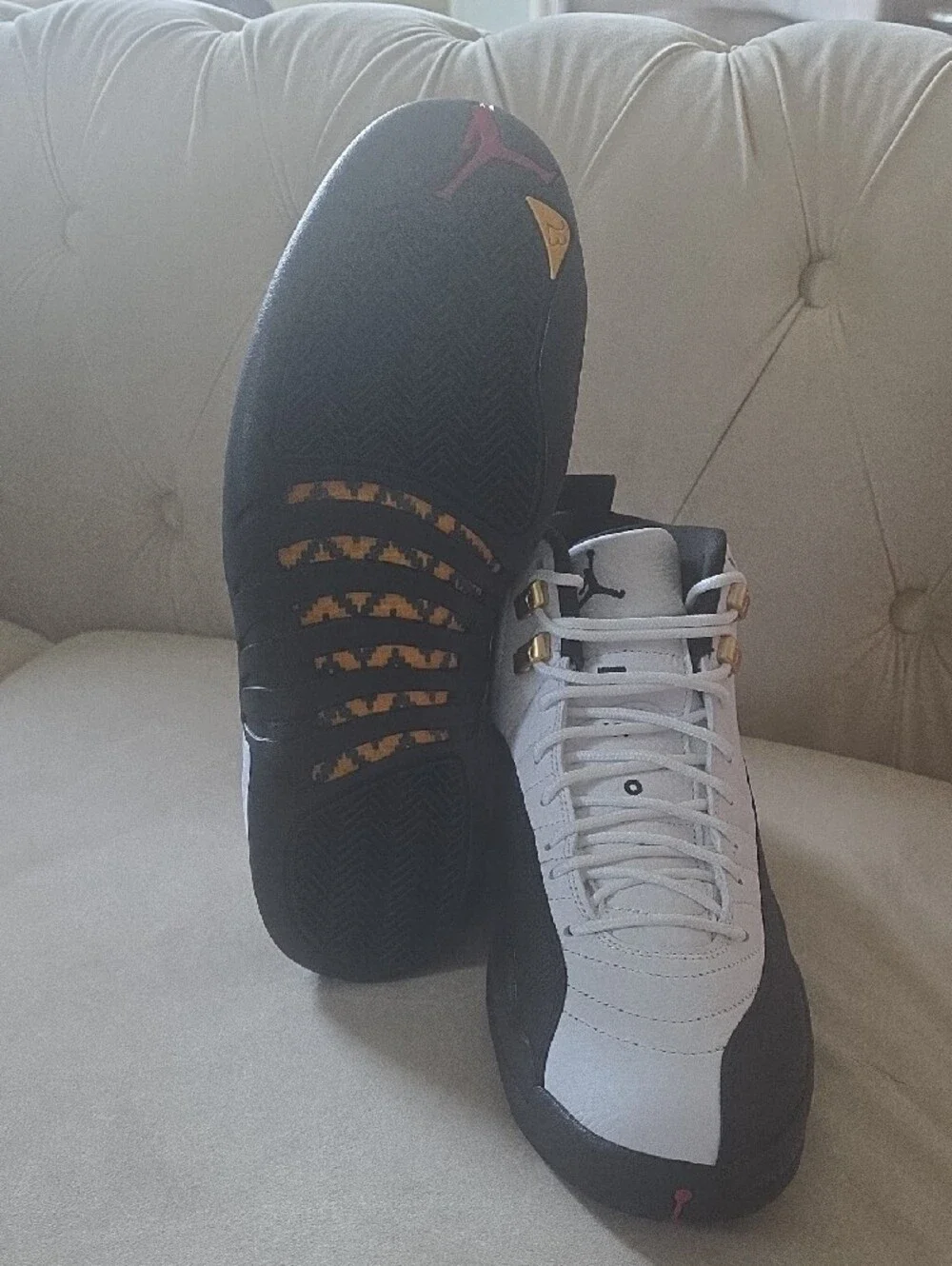 Jordan iconic silhouette